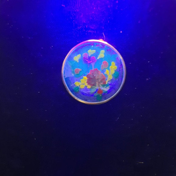 Vtg Signed Alpaca Mexico Dried Flowers Lucite Brooch or CharmGlows - Picture 1 of 5